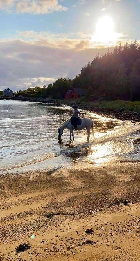 Appartamento Kjorsvik Ovre Tornes Esterno foto