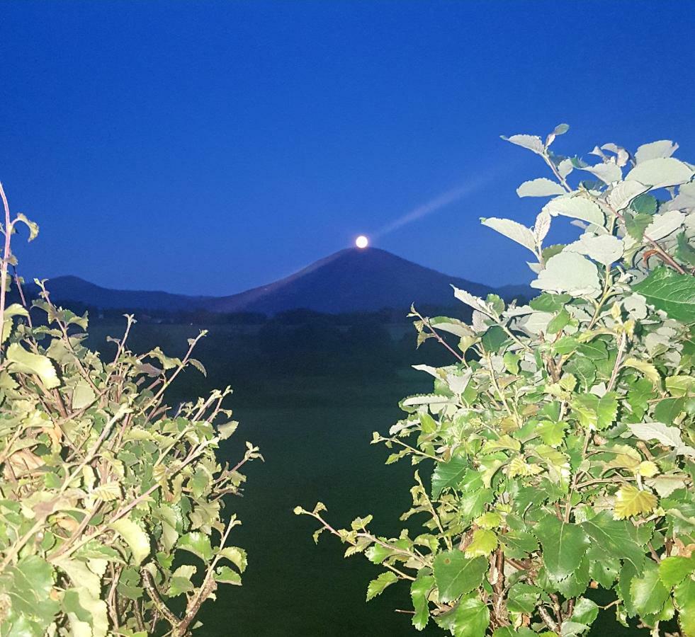 Appartamento Kjorsvik Ovre Tornes Esterno foto