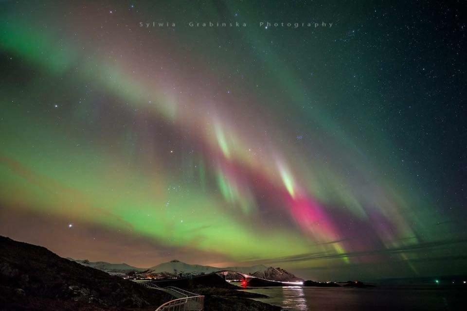 Appartamento Kjorsvik Ovre Tornes Esterno foto