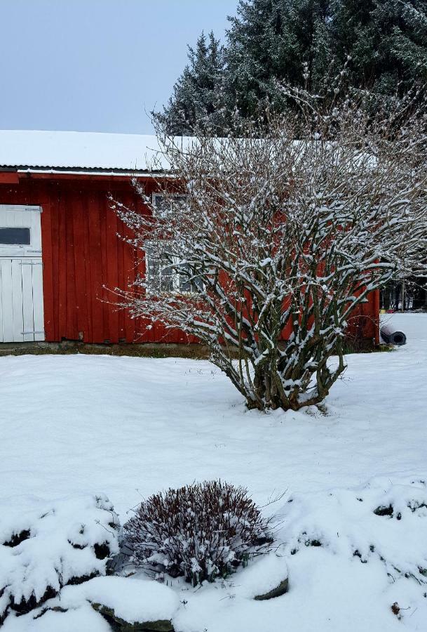 Appartamento Kjorsvik Ovre Tornes Esterno foto