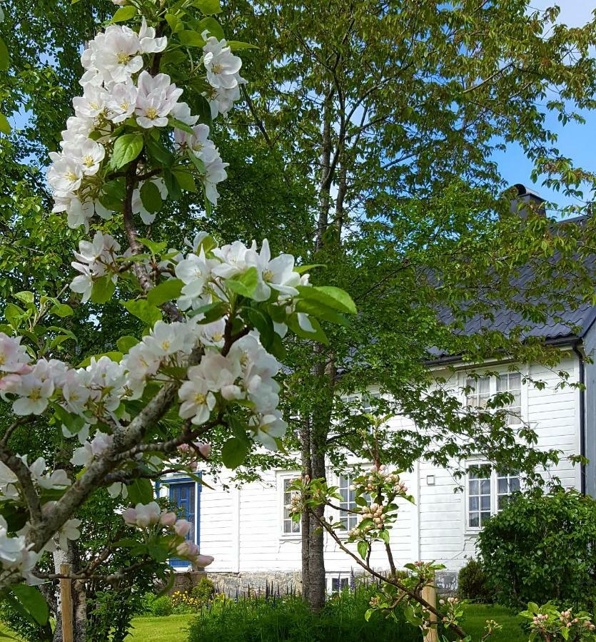 Appartamento Kjorsvik Ovre Tornes Esterno foto