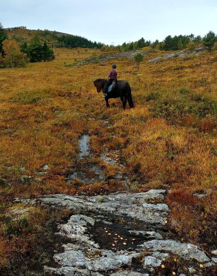 Appartamento Kjorsvik Ovre Tornes Esterno foto